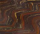 Tiger Iron Stromatolite Shower Tile - Billion Years Old #48806-1